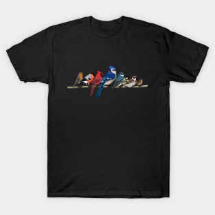 Colorful Garden Birds Bird Art Birdlover Birdwatcher Animal T-Shirt